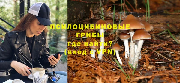 тгк Волоколамск