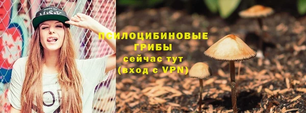 тгк Волоколамск