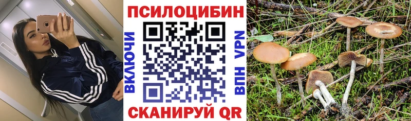 кракен   где можно купить   Тула  Псилоцибиновые грибы GOLDEN TEACHER 